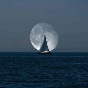 Meet your Posher, Teri